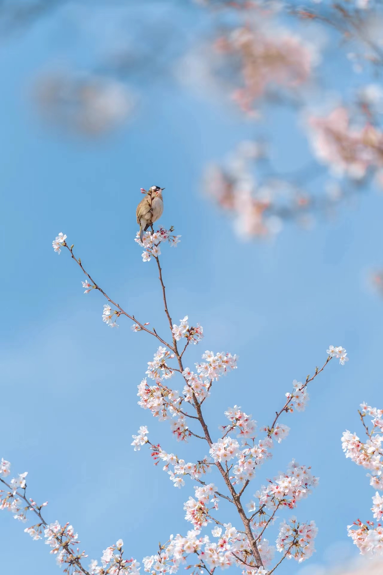 提前十分鐘，人生大不同